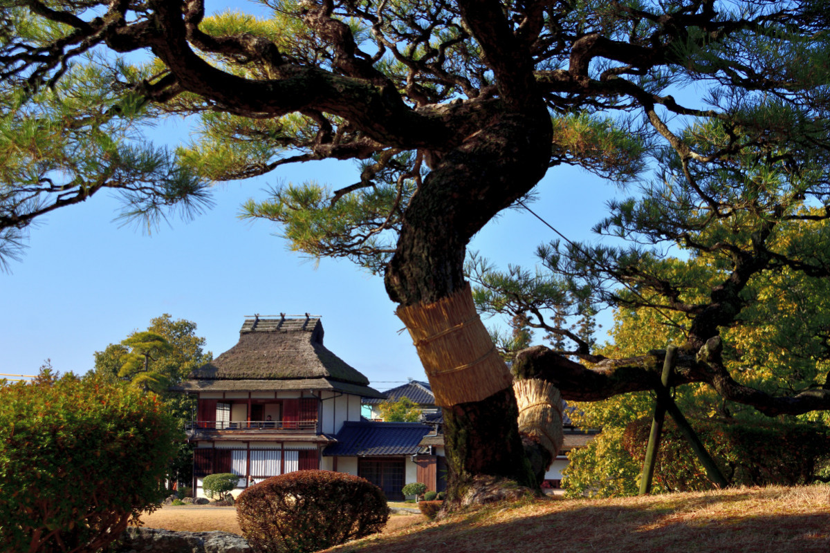 ココロが整う和のお庭！訪れる価値アリな岡山の日本庭園おすすめ7選