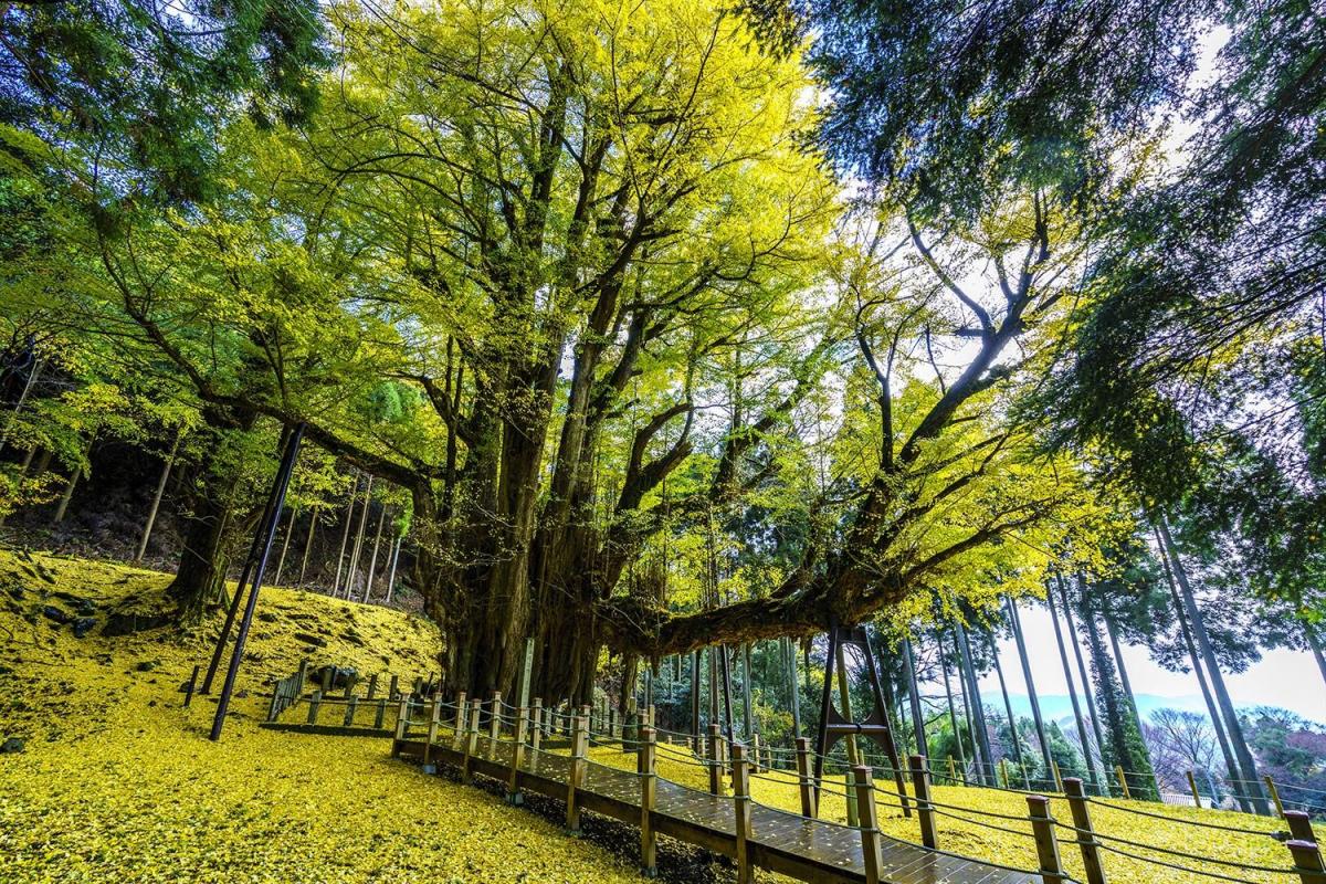思わず写真に納めたくなる！奈義町の絶景スポット6選