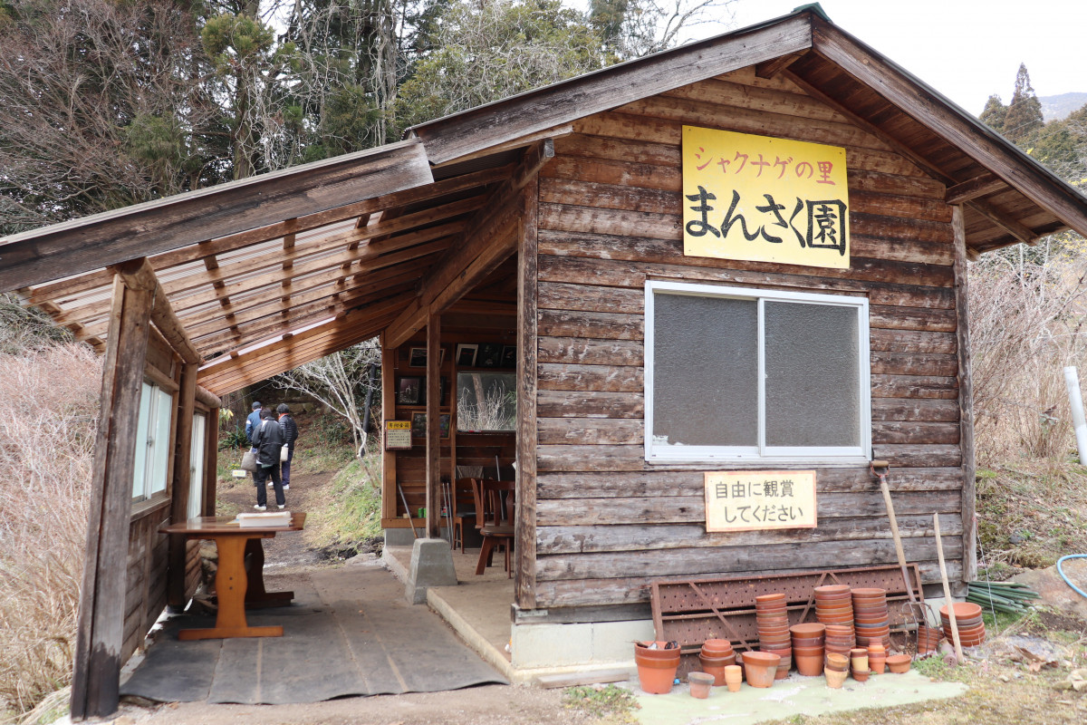 四季を感じる花園、「シャクナゲの里　まんさく園」で春を感じてきました!!