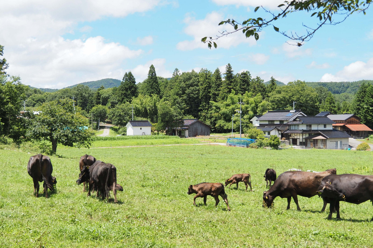 牧場直営レストランで「千屋花見牛」を堪能！　牛・人・地域に優しいお肉が生まれた背景とは