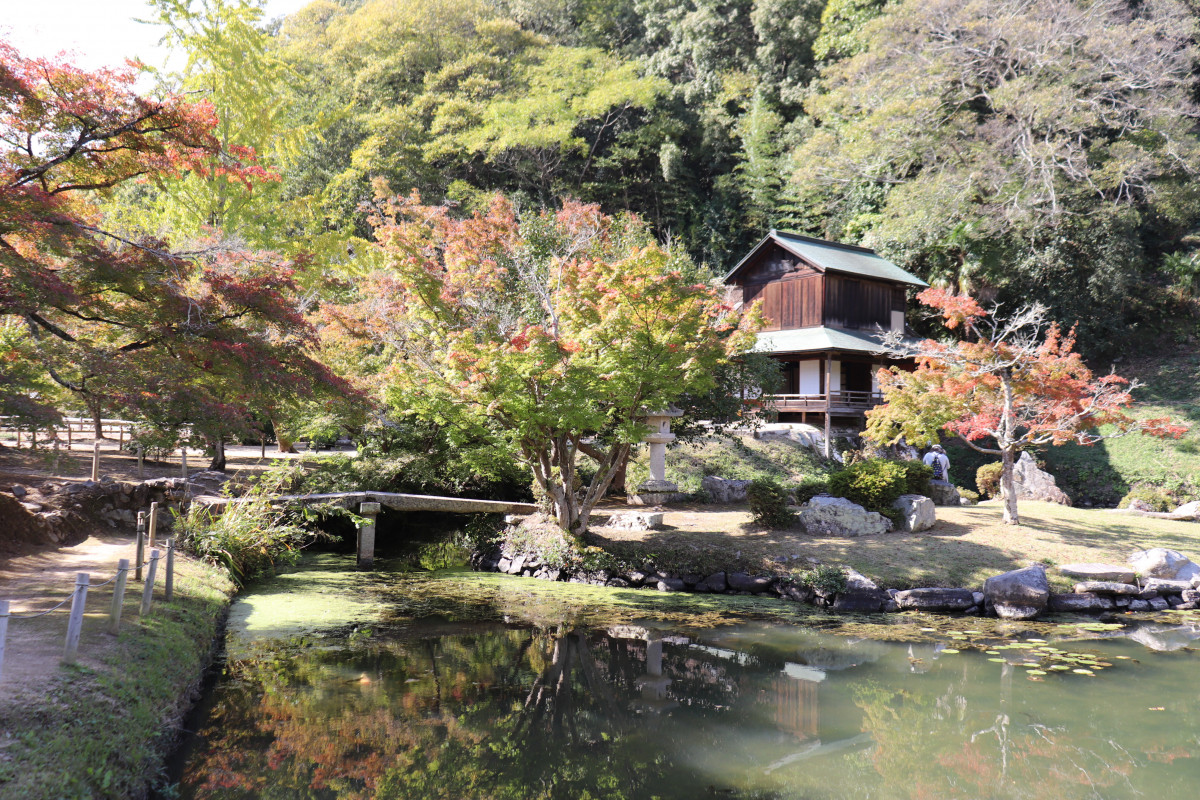 テイクアウトで楽しむ！大名庭園「近水園」の紅葉ピクニック