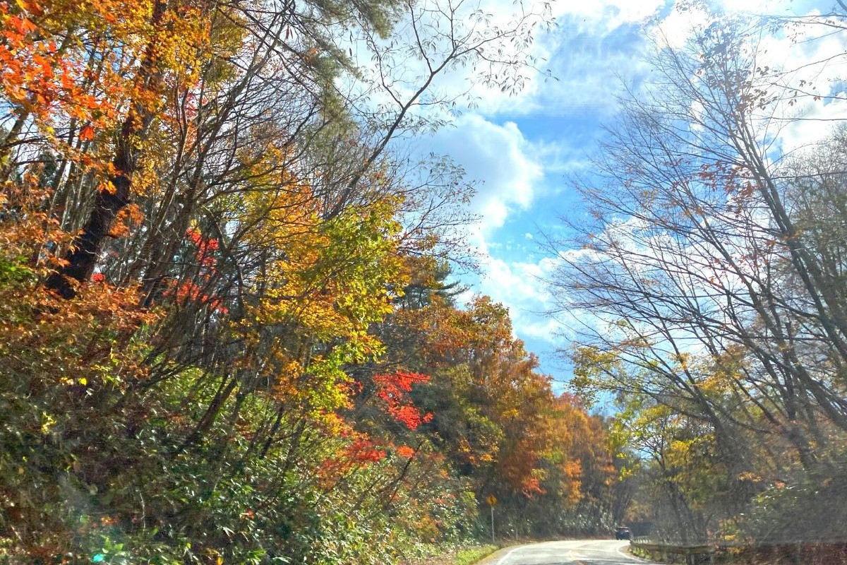 岡山の紅葉ドライブ！蒜山大山スカイライン沿いで楽しむ秋の風物詩