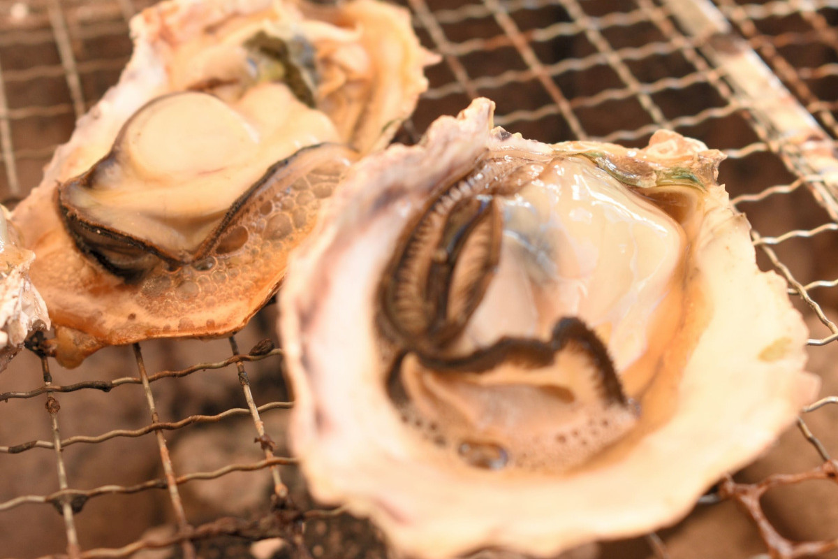 牡蠣初めは日生へ。手ぶらで海鮮をたらふく味わってきた！