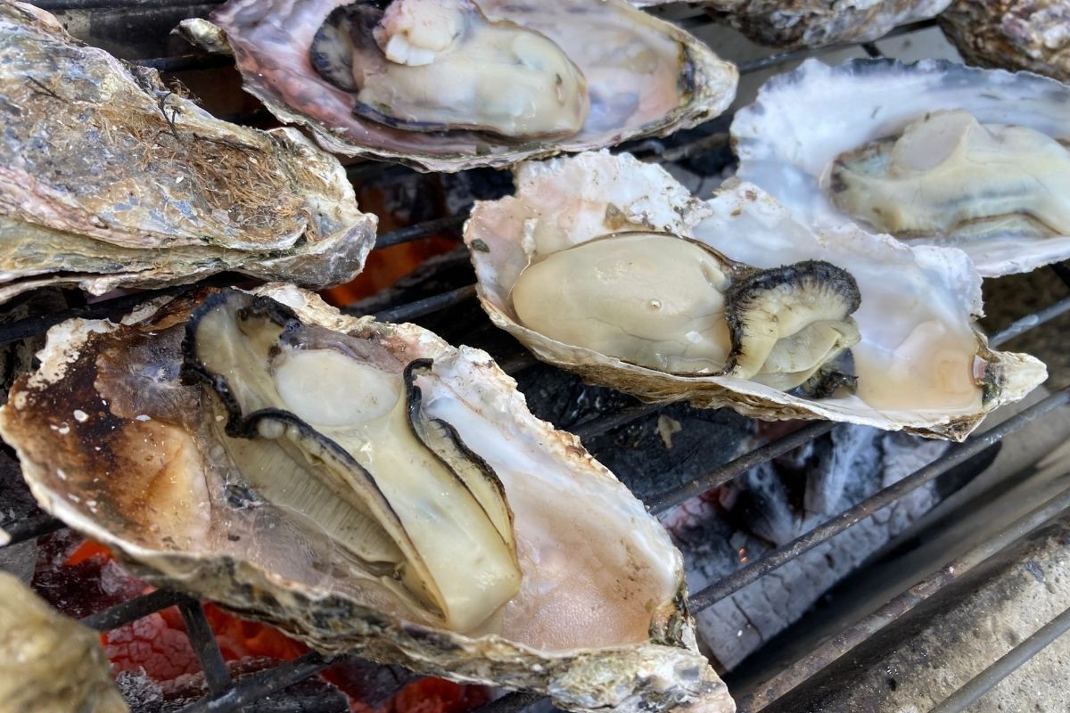 牡蠣のシーズン到来！岡山寄島の牡蠣をたっぷり堪能しょう