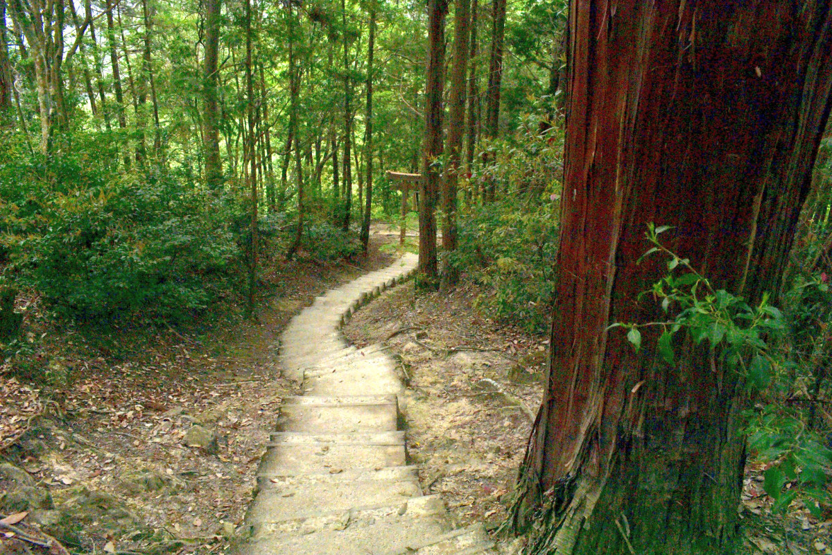 「気」がスゴイと噂の石上布都魂（いそのかみふつみたま）神社へ行ってみた