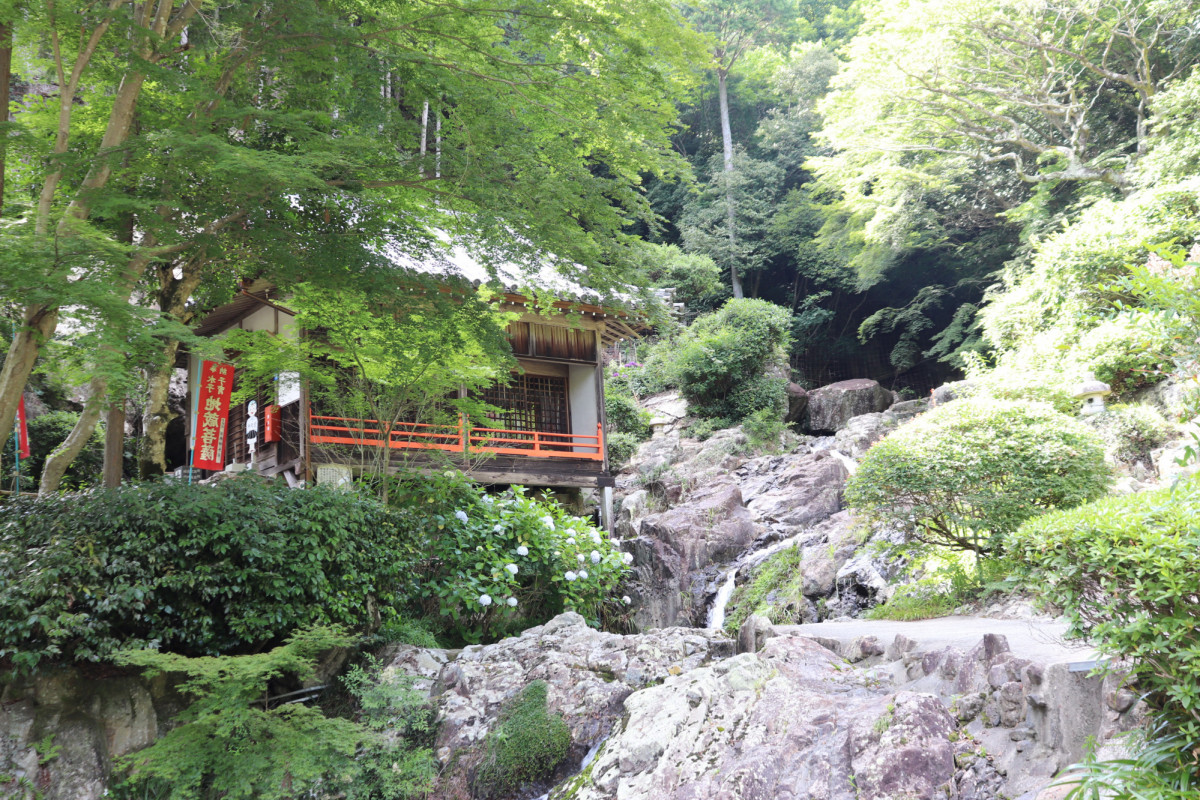 今が見頃 滝のあるアジサイ寺 大瀧山西法院 で癒されてきた おか旅 岡山観光web 公式 岡山県の観光 旅行情報ならココ