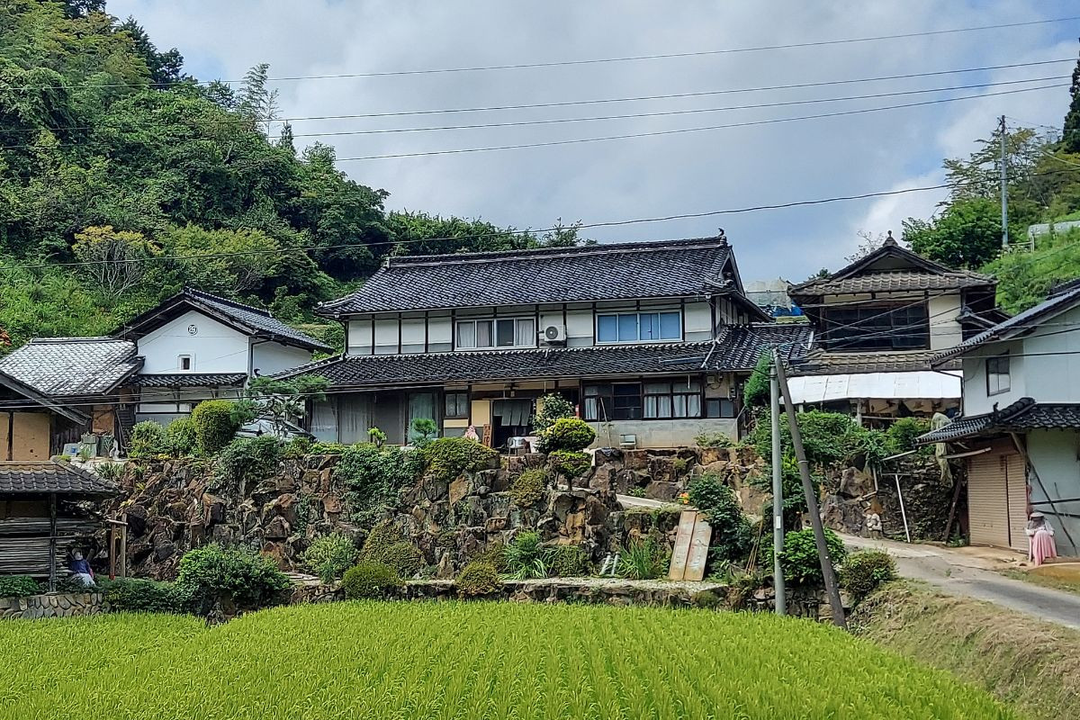 自然に囲まれて野菜収穫とピザ作り体験！真庭市の「農家民宿ゆずき」で過ごす休日