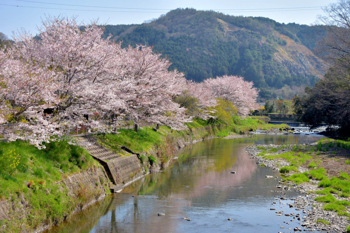 ああ勝央町は花の町よ♪ 歴史の町「勝間田」で春満喫ぶらり旅