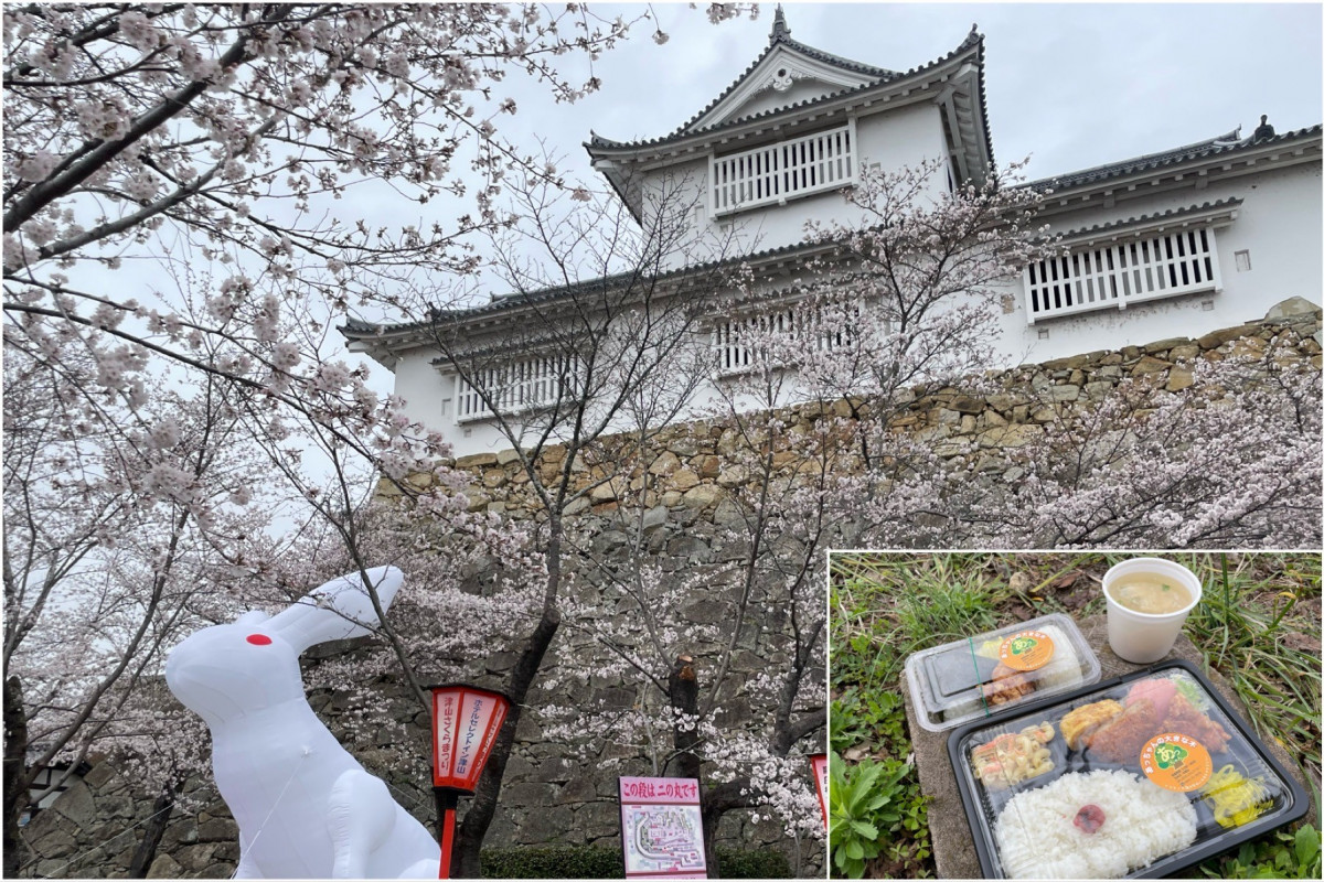 津山さくらまつり開催中！お弁当買って「津山城（鶴山公園）」へ花見に行ってきた