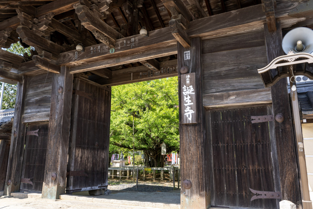 浄土宗の開祖・法然は岡山生まれ！  出生の地にある「誕生寺」を訪ねて