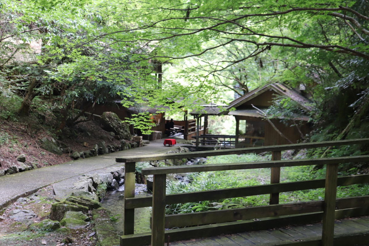 流しそうめんと滝でクールダウン！「涼」を求めて津山市の「もみじ亭」へ