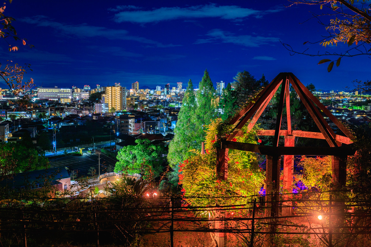 秋の夜ライトアップイベント！岡山市半田山植物園ナイトガーデン2023