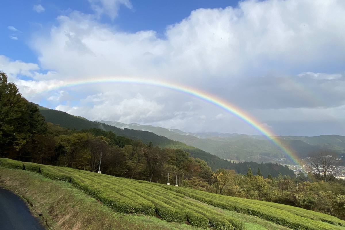 岡山県新見市で絶景・グルメ・異国情緒を大満喫する1日2泊の旅！