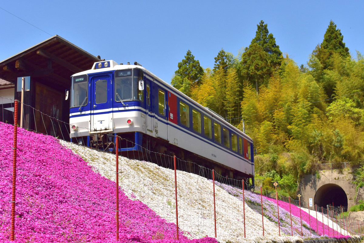 春旅におすすめ！芝桜映える「武蔵の里」を巡ろう