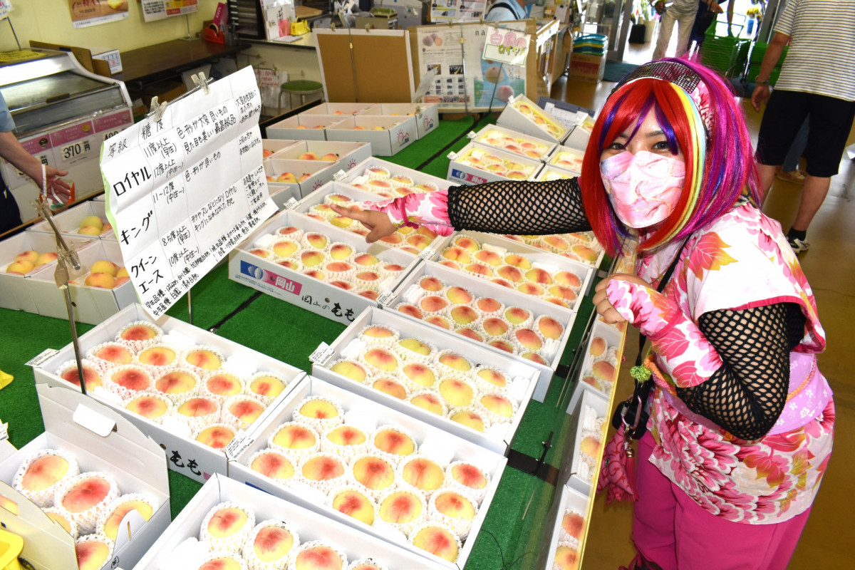 岡山の白桃ができるまで。直売店の並ぶ「玉島ピーチロード」もご紹介