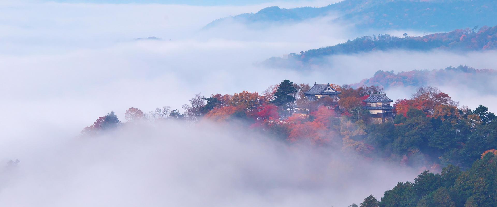 雲海に浮かぶ天空の城 天空の山城 備中松山城 の魅力に迫る 旬のおすすめ 特集 岡山観光web 公式 岡山県の観光 旅行情報ならココ