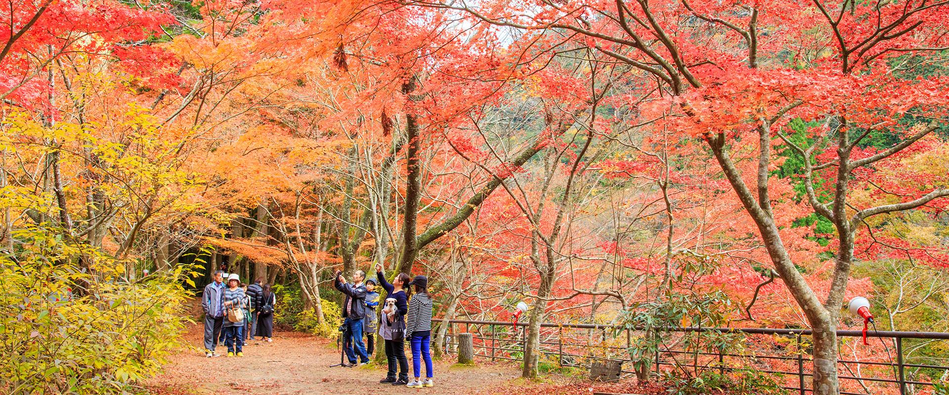 岡山で絶対見ておくべき紅葉スポット10選 旬のおすすめ 特集 岡山観光web 公式 岡山県の観光 旅行情報ならココ
