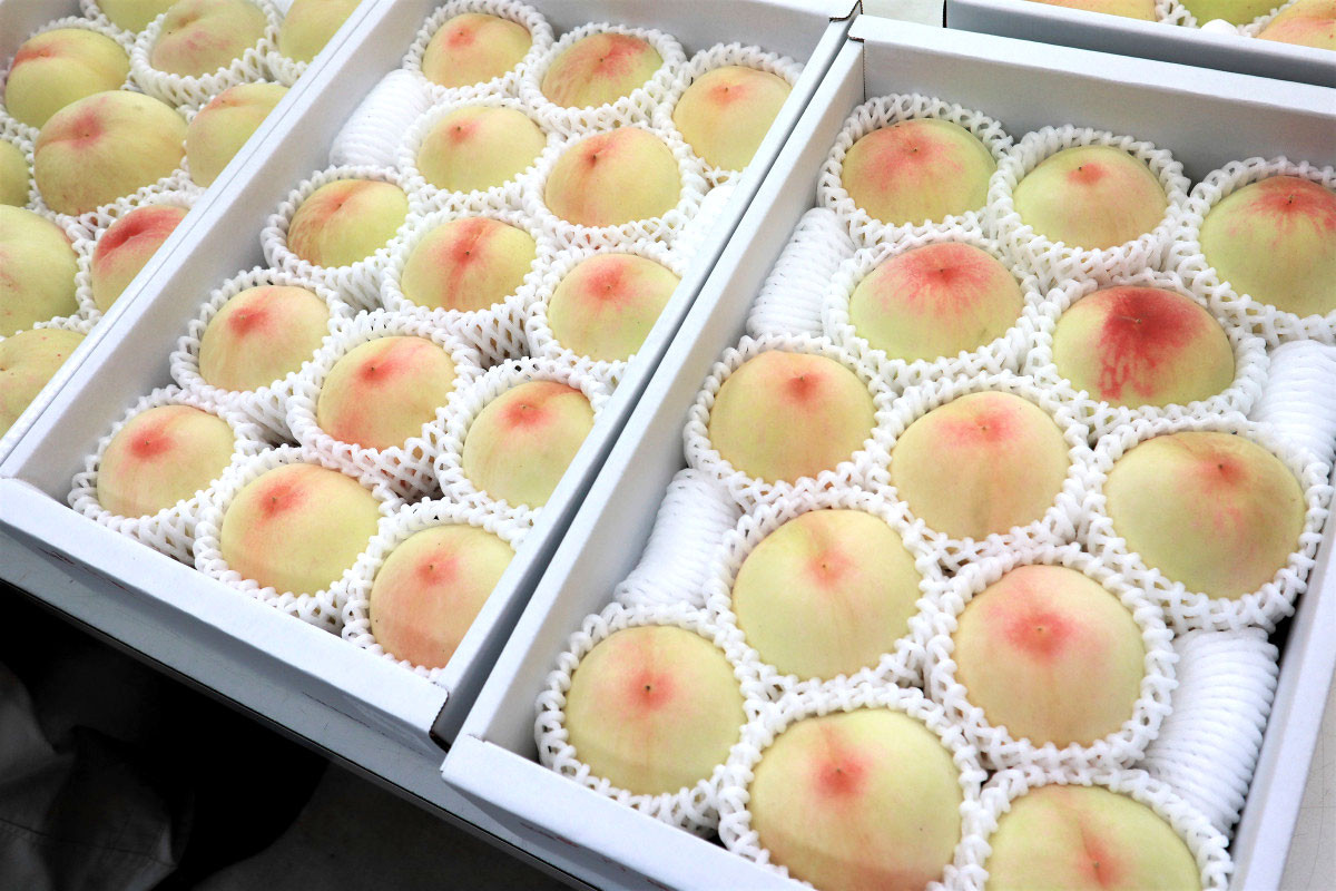 直売所で桃を買おう