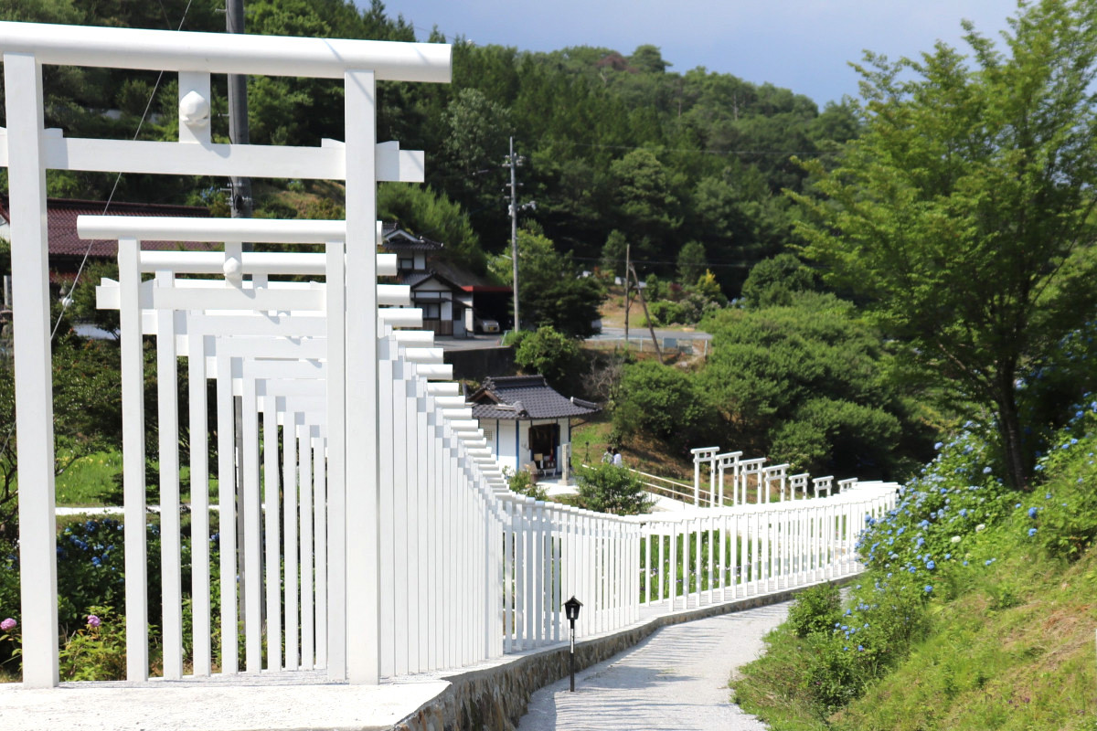 話題の映えスポット 真っ白な世界 済渡寺の 千本鳥居 おか旅 岡山観光web 公式 岡山県の観光 旅行情報ならココ