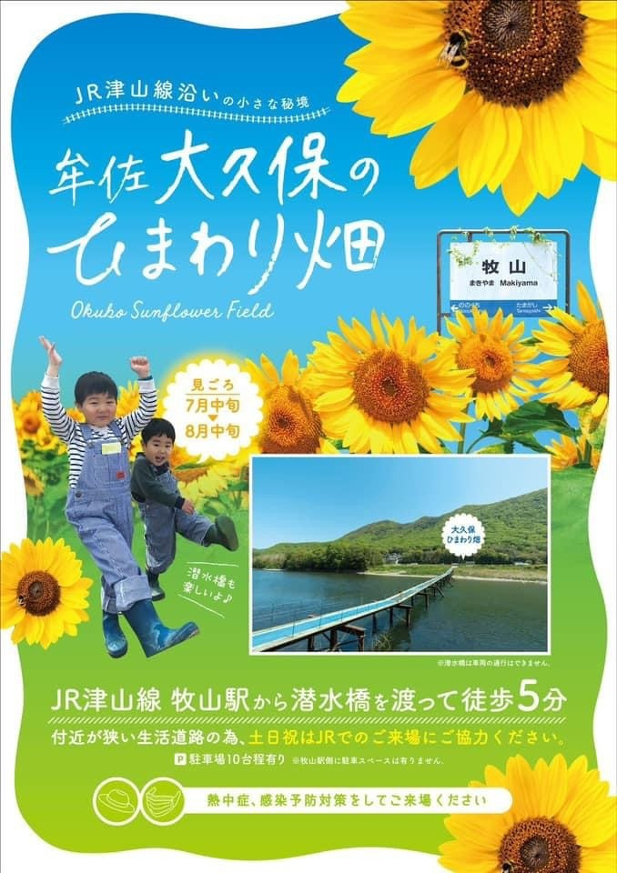 秘境にインスタスポット発見 潜水橋とヒマワリ畑 おか旅 岡山観光web 公式 岡山県の観光 旅行情報ならココ