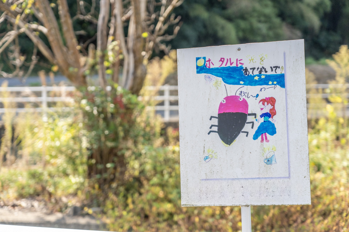 地元小学生によるホタル保護を呼びかける看板