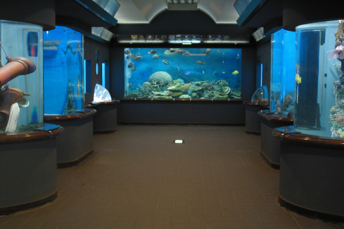 渋川マリン水族館（玉野海洋博物館）