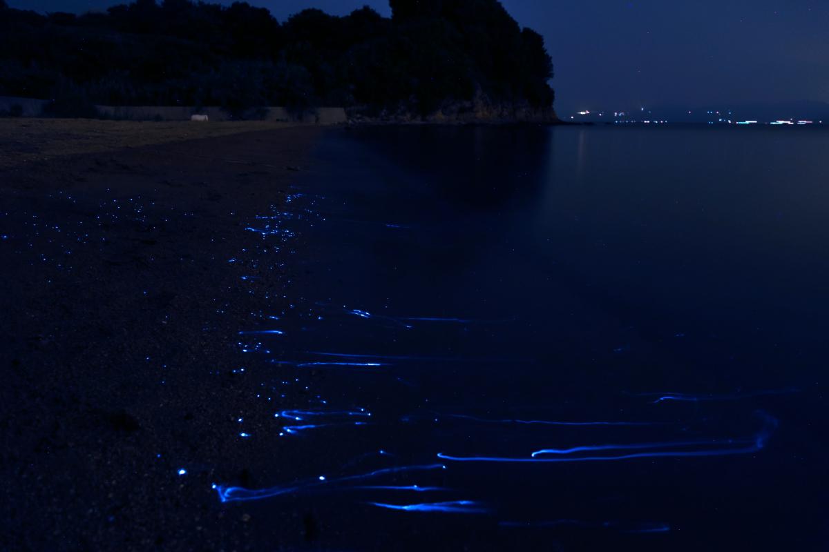 今の季節にこそ見に行きたい 瀬戸内市で出会えるアートな夏風景5選 おか旅 岡山観光web 公式 岡山県の観光 旅行情報ならココ