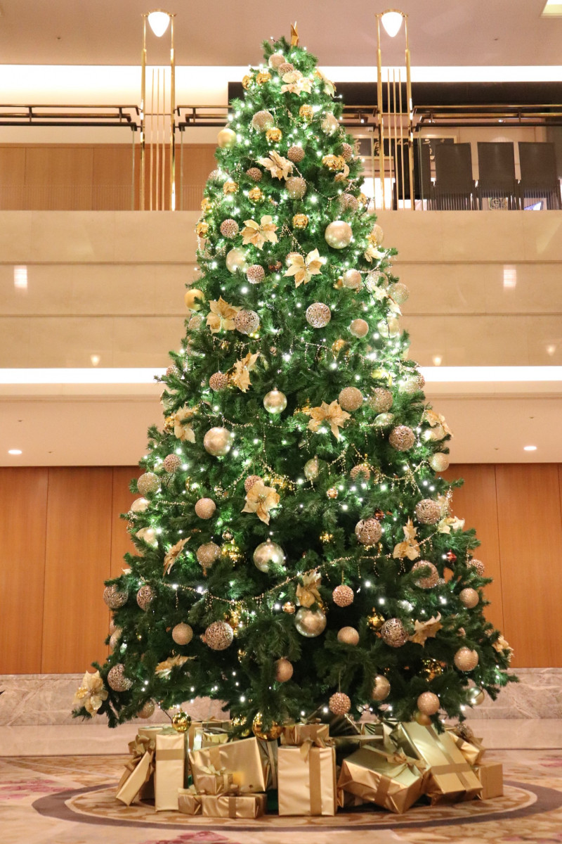 ホテルのフォトジェニックなクリスマスツリー6選 岡山駅周辺 おか旅 岡山観光web 公式 岡山県の観光 旅行情報ならココ