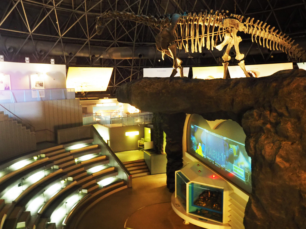 太古のロマン インスタ映え 恐竜公園とカブトガニ博物館に行ってきた おか旅 岡山観光web 公式 岡山県の観光 旅行情報ならココ