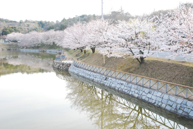 丸山公園