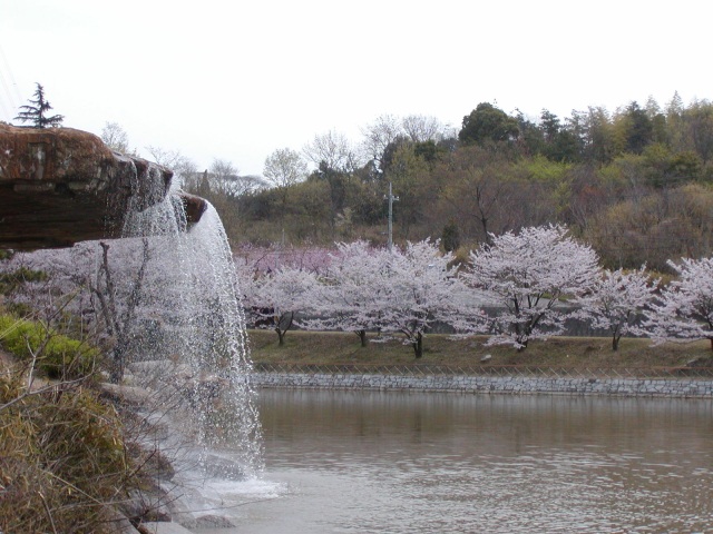 丸山公園