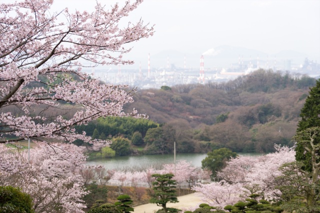 種松山公園西園地