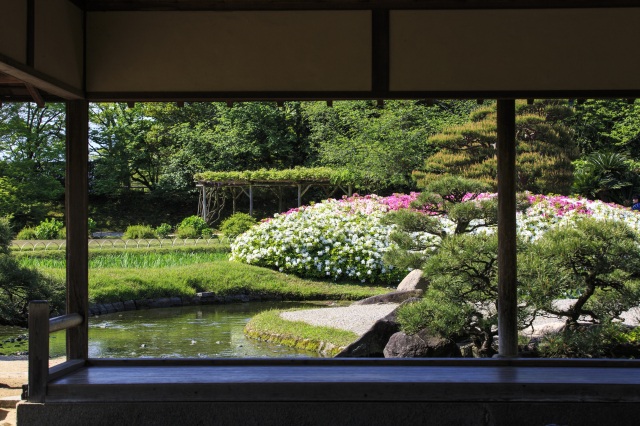 岡山後楽園