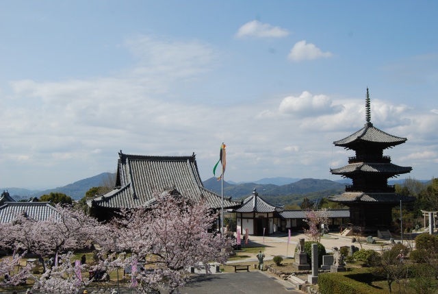 餘慶寺