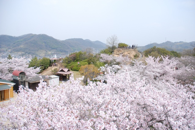 古城山公園