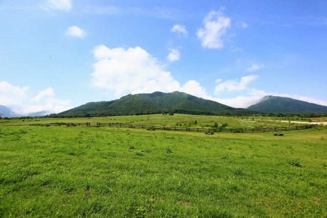 蒜山高原