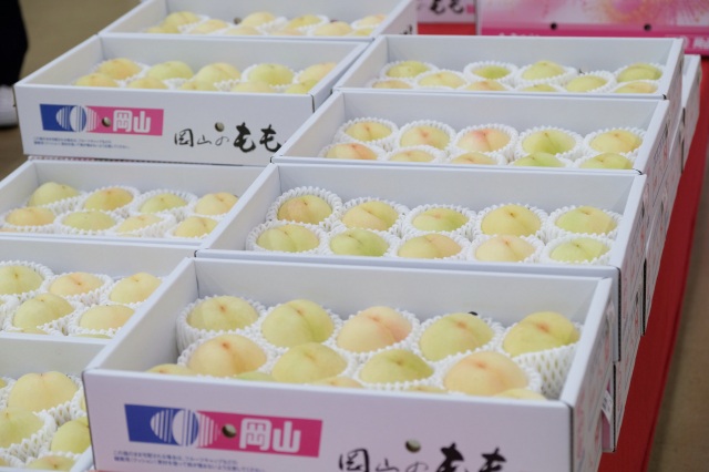 白桃