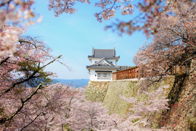 津山城（鶴山公園）