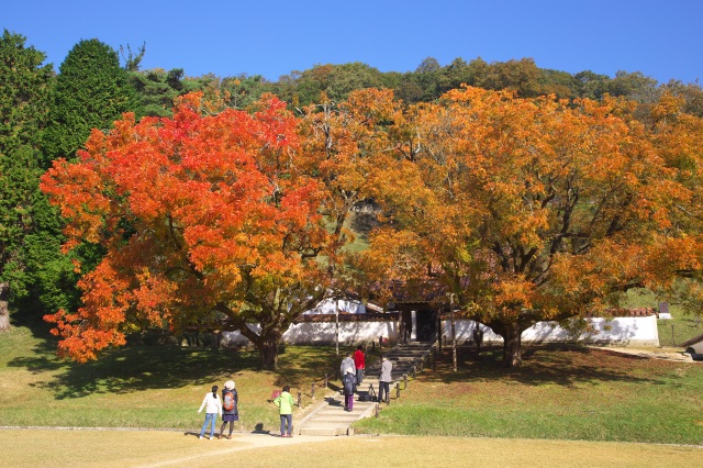 旧閑谷学校