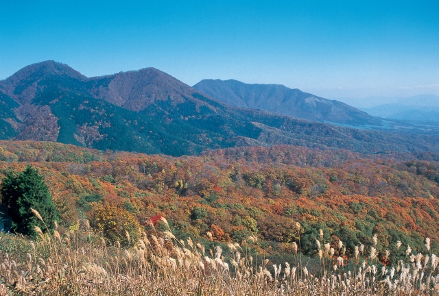 蒜山高原