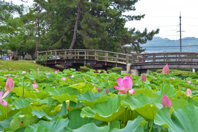 備中高松城址公園