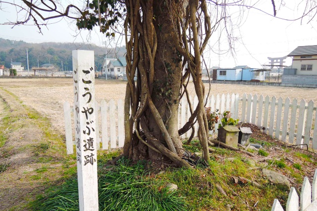 こうやぶ遺跡