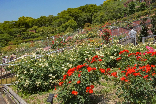 岡山市半田山植物園