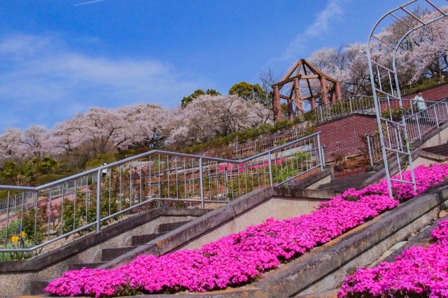岡山市半田山植物園