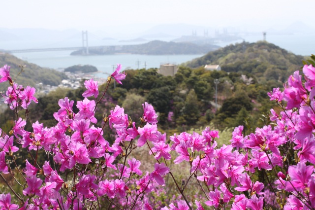 三百山
