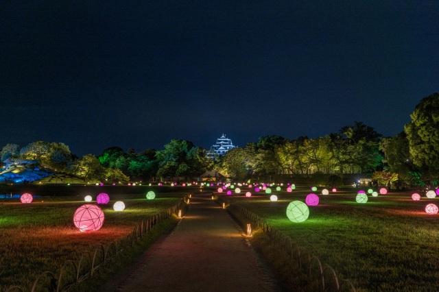 岡山後楽園　夏の幻想庭園