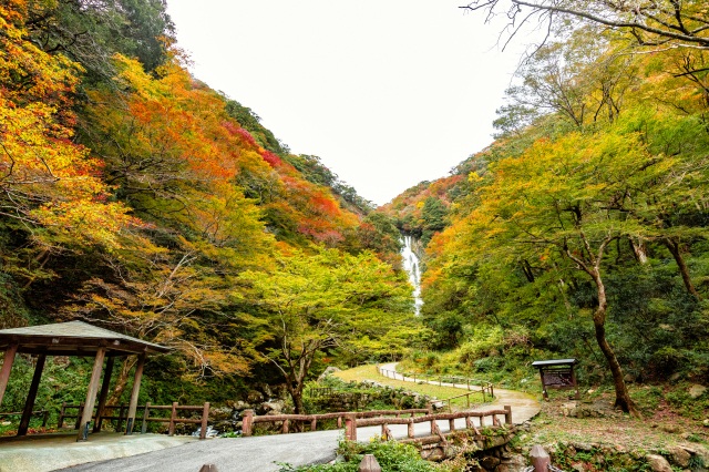 神庭の滝