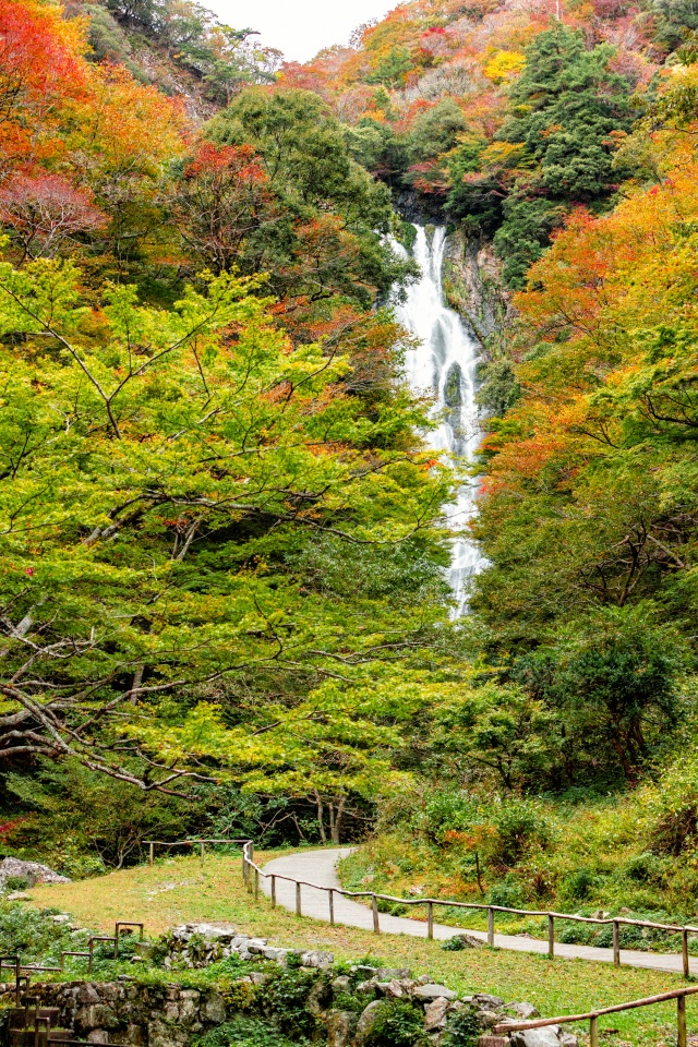 神庭の滝（縦）