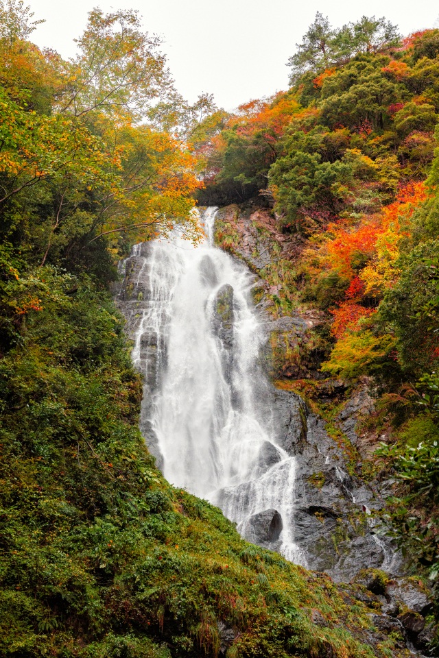 神庭の滝（縦）