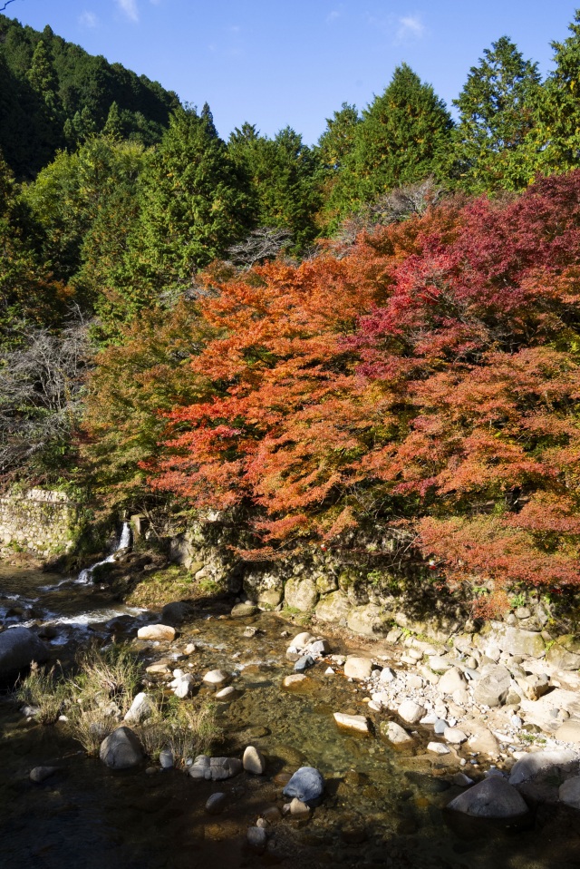 奥津渓（縦）